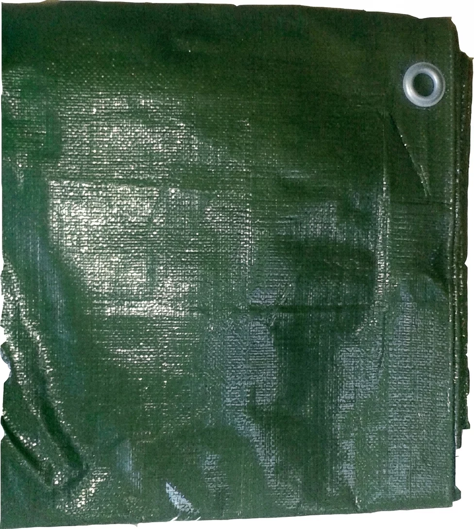 BACHE PE 230 G VERT  10 X 20 M  GARANTIE UV 2 ANS