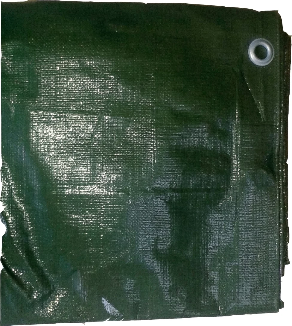 BACHE PE 230 G VERT  6 X 10 M  GARANTIE UV 2 ANS